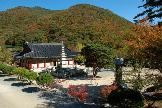 5 Lý do thu hút khách du lịch tới Hàn Quốc